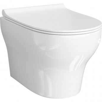 Унитаз с крышкой WASSERKRAFT BERKEL 2 в 1